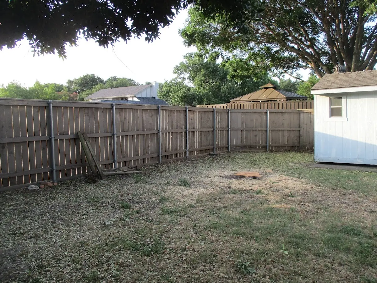 Cleared yard after professional tree removal in Dagmar